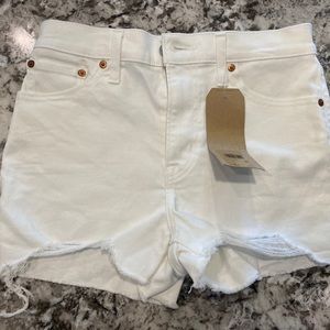 New with Tags Levi Shorts Size 28 (6)